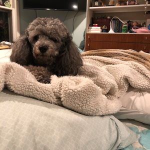 Meet your Posher, Rachel